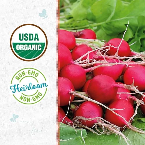 Back to the Roots - 100% Organic Seed Packet - Radish 'Cherry Belle' 1.4g