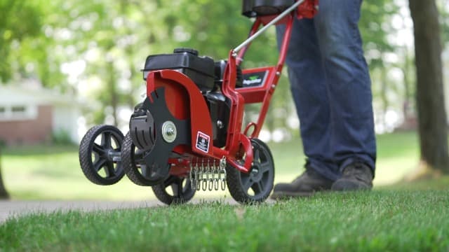 EARTHQUAKE 41273 79cc 4-Cycle Walk-Behind Edger, Red/Black