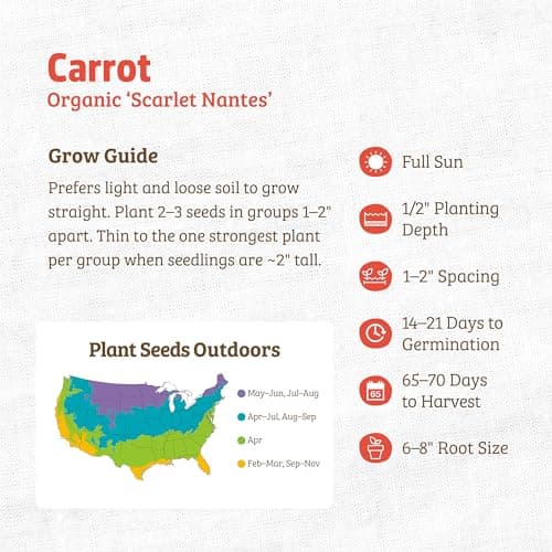Seed Packet - Carrot 'Scarlet Nantes' 420mg