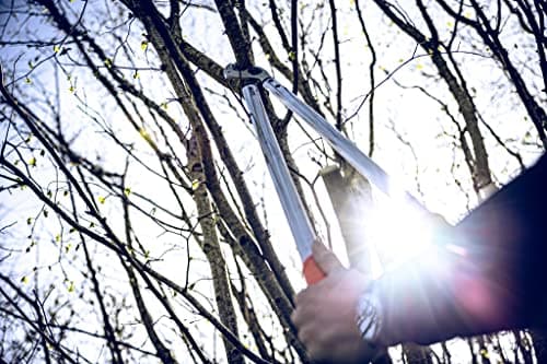 Original LÖWE Professional Anvil Lopper Garden Tools 22.080 | Use as Pruners, Garden Shears, Pruning Shears for Gardening | For cutting branches, twigs, trees & shrubs | 31.5 inches | Made in Germany