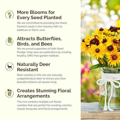 Eden Brothers All Perennial Wildflower Mixed Seeds for Planting, 1/4 lb, 120,000+ Seeds with Lupine, Shasta Daisy | Attracts Pollinators, Plant in Spring or Fall, Zones 3, 4, 5, 6, 7, 8, 9, 10