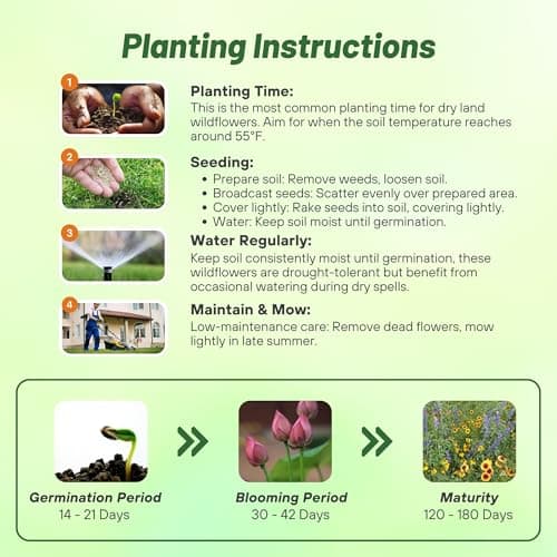Outsidepride Dryland Wildflower Seed Mix - 1 lb. Colorful Blend of Drought Tolerant, Annual and Perennial Wildflower Seeds for Attracting Pollinators in Arid States & Xeriscapes