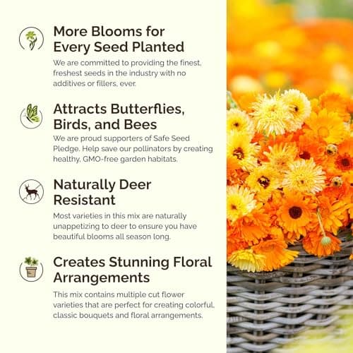 Eden Brothers Partial Shade Wildflower Mixed Seeds for Planting, 1/4 lb, 120,000+ Seeds with Sweet William, Foxglove | Attracts Pollinators, Plant in Spring or Fall, Zones 3, 4, 5, 6, 7, 8, 9, 10