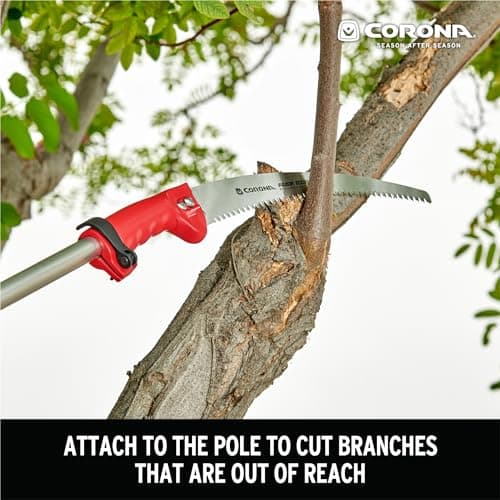 Corona FlexREACH System Detachable RazorTOOTH Saw(TM) Head