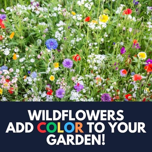 Shade Wildflower Mix (Seed Packet) - Shade, Perennial, Deer-Resistant, Hummmingbird, Midwest and Others Create a Colorful Garden That Enhances Your Outdoor Space with Natural Beauty!