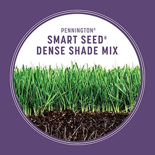 Pennington Smart Seed Dense Shade Grass Mix Bag 7 lb