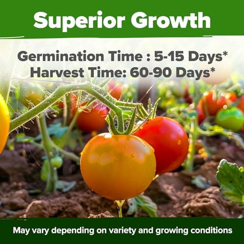 HOME GROWN Heirloom Tomato Seeds for Planting (10pk) w/Basil Seeds, 100% Non-GMO Tomatoes: Cherry, Roma, Beefsteak, Zebra, Yellow Plum, Amish Paste, Cherokee, Krim, Italian Basil, Thai Basil Seed
