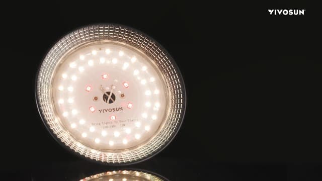 VIVOSUN Outdoor LED Grow Lights, Waterproof String Grow Light, Full Spectrum Plant Growing Lights with 44Ft Adjustable Cord for Seedling, Veg, Flower in Greenhouse, Garden, Backyard, Farm (12-Light)