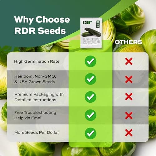 50 Black Beauty Zucchini Seeds for Planting – Heirloom, Non-GMO, USA Grown – Summer Squash (Cucurbita Pepo) – by RDR Seeds