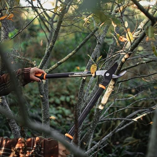 Fiskars Bypass Lopper, Lightweight Tree Pruning Tool, Rust Resistant and Low Friction Coating, SoftGrip Handle Control with Shock-Absorbing System, 24 inches