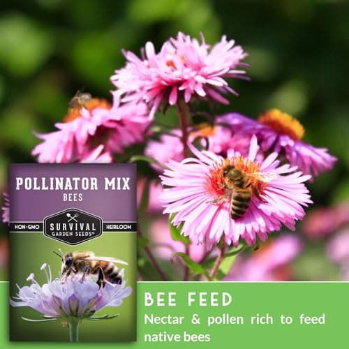1 Pack Bee Pollinator Mix Seed for Planting - Packet with Instructions to Grow Annual & Perennial Flowers to Feed Bees in Your Home Garden - Non-GMO Heirloom Varieties - Survival Garden Seeds