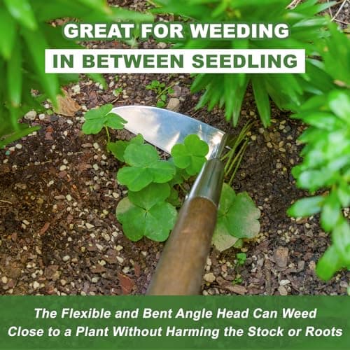Haliaeetus Sickle Hoe, 58'' Long Handle Japanese Hand Hoe for Standing to Remove Weed, Stainless Steel Scraper Hoe, Bent Angle Weeding Sickle for Fastly Scraping Out Weed on Flower Bed, Between Plants