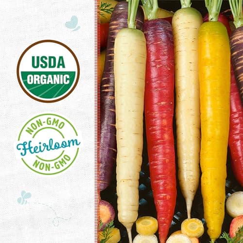 Seed Packet - Carrot 'Rainbow Blend'