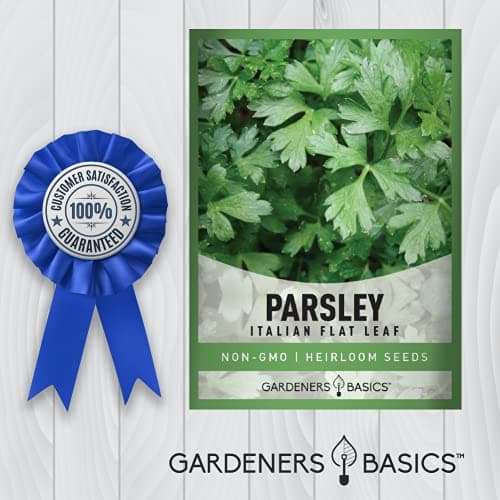 Gardeners Basics, Parsley Seeds for Planting, Italian Flat Leaf is A Heirloom, Open-Pollinated, Non-GMO Herb Variety- Great for Indoor and Outdoor Gardening and Herbal Tea Gardens