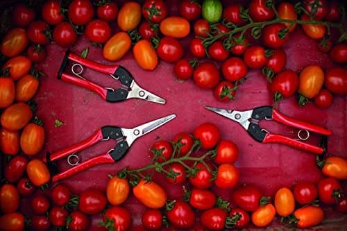 FELCO FELCO322 Model 322 Snips, Red