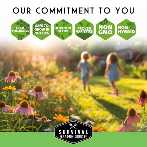 Survival Garden Seeds Chocolate Cherry Sunflower Seed for Planting - Packet with Instructions to Plant & Grow Beautiful Flowers in Your Home Vegetable & Flower Garden - Non-GMO Heirloom Variety (1)