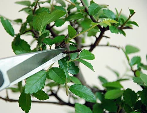 Okatsune Professional Snips, No.207 (Standard Version)