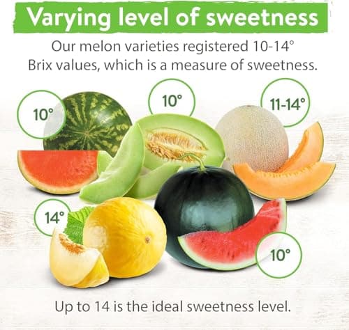 HOME GROWN Melon Seeds Variety Pack – 5 𝗡𝗢𝗡-𝗚𝗠𝗢 Heirloom Fruit Seeds: Watermelon, Cantaloupe, Honeydew, Sugar Baby & Melon – High Germination 𝗨𝗦𝗔 for Planting Home Garden Indoors.