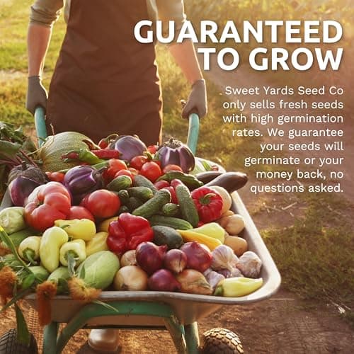 Organic Cold & Hardy Seeds Variety Pack - 10 Individual Packs - 2025 Season - Caulifower, Turnip, Kale, Carrots and More! for Indoor & Outdoor Planting (Non-GMO, Certified Organic)