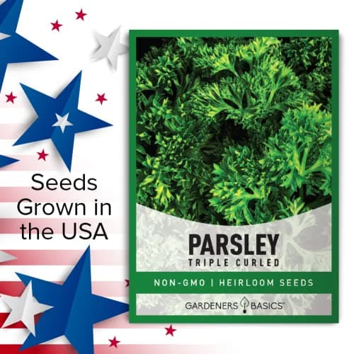 Gardeners Basics, Curled Parsley Seeds for Planting Indoors and Outdoors Heirloom, Open-Pollinated, Non-GMO Curly Herb Variety- Great for Home Gardens and More