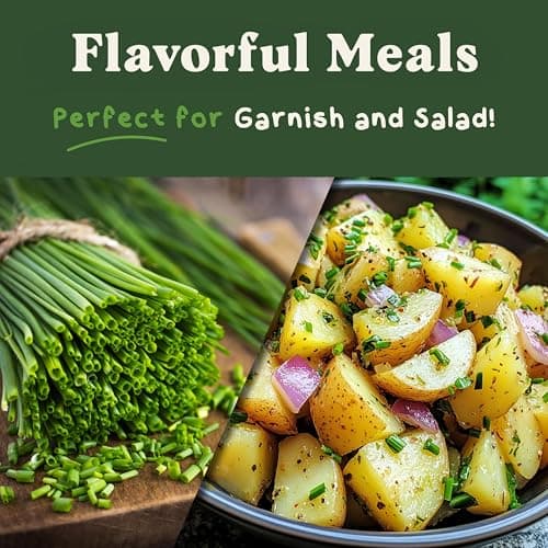 Organic Chive Seeds for Planting Indoor and Outdoor, Non-GMO and USDA Certified Herb Seed Packet for Hydroponic Garden Indoor or Planting Outdoors (Common Chives)