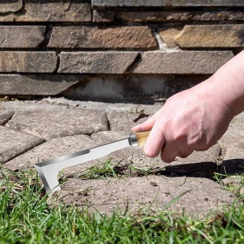Lasnten 5 Pcs Dibber Garden Tool Set, Heavy Duty Seed Planter Gardening Tools with Hand Dibber, Hand Crack Weeder, Transplanter, Big Trowel, 3-Claw Cultivator for Planting Flowers, Gardening Gifts