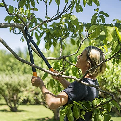Fiskars PowerGear Lopper Bypass, Hook Head (M) L74, Hook Head, Non-stick coating, Cutting Diameter : 3.8 cm, Hardened steel, Length: 55 cm, Black/Orange, 1000582
