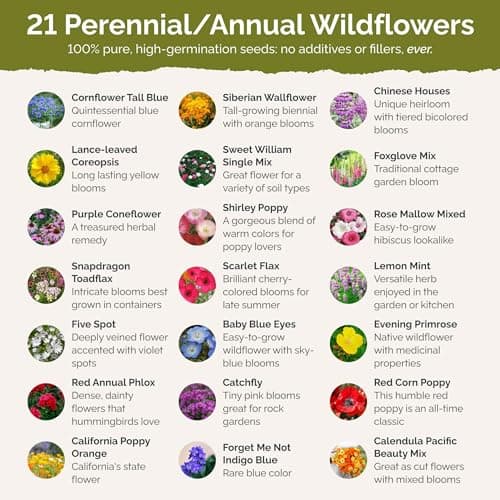 Eden Brothers Partial Shade Wildflower Mixed Seeds for Planting, 1/4 lb, 120,000+ Seeds with Sweet William, Foxglove | Attracts Pollinators, Plant in Spring or Fall, Zones 3, 4, 5, 6, 7, 8, 9, 10