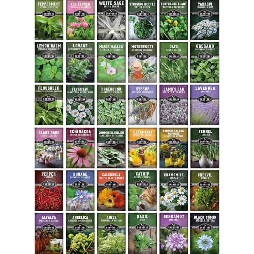 Ultimate Medicinal Herbs 36 Variety Pack - 28,000+ Herb Seeds for Planting Essential Healing Plants - Mixed Assortment with Culinary, Medicinal, Tea Herbs - Non-GMO Heirloom - Survival Garden Seeds