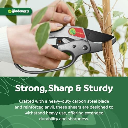 Ratchet Pruning Shears Gardening Tool – Anvil Pruner with Assisted Action – Ratcheting Pruners for with Heavy Duty, Nonstick Steel Blade – Garden Tools by The Gardener's Friend