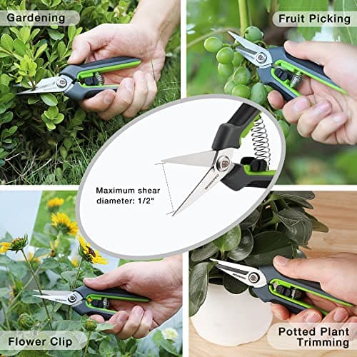 WORKPRO 2 Pack Garden Pruning Shears with Sheath, 6.5” Small Hand Pruners/Snips/Clippers- Spring Loaded & Precision Straight Blades, Microgreen Trimming Scissors for Flowers, Weeds, Indoors Bonsai