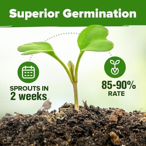 HOME GROWN 15 Culinary Herb Seeds 4,500+ Heirloom 𝗡𝗢𝗡-𝗚𝗠𝗢, 𝗨𝗦𝗔-𝗦𝗢𝗨𝗥𝗖𝗘𝗗 High Germination Rate, for Planting Indoor Hydroponic Outdoor, Gardening Gifts for Women Men, Mothers Day Gifts
