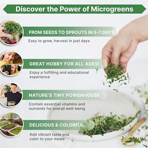 Organo Republic Arugula Sprouting & Microgreens Seeds - 55,000 Non-GMO Heirloom Seeds, Sprouts in 4 oz Resealable Bag for Planting & Growing Microgreens in Soil, Coconut Coir, Aeroponic & Hydroponic