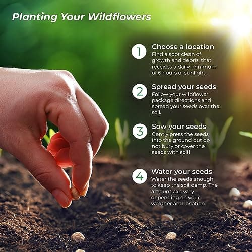 Drought Tolerant Wildflower Seed Mix, Covers 325 Sq Ft, 15 Flower Varieties, Over 67,000 Seeds, Created By Nature