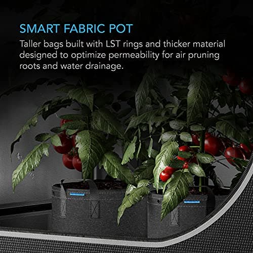 AC Infinity Heavy Duty Fabric Pots, 5 Gallon Aeration Reusable Grow Bags 5-Pack with 500G Thick Nonwoven Fabric and Multi-Purpose Rings, for Low Stress Plant Training Fruits, Vegetables, and Flowers