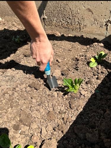 4 Piece Garden Tool Set Heavy Duty, Gardening Hand Tools Work No-Slip Grip Trowel Transplanter Weeder Hand Rake, Ergonomic Handle Indoor Outdoor