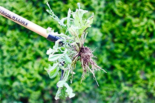 Grampa's Weeder Grampa's Hand Weeder - Bundle The Original Stand Up Weed Puller & Grampa's Hand Weeder Tool for The Easiest & Most Effective Weed Removal Duos