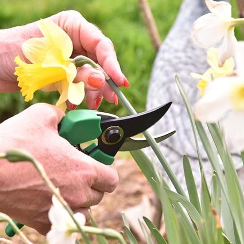 8 Inch Garden Pruner with a SK5 Carbon Steel, Non-stick, Rust Resistant Blade. Adjustable for Small and Large Hands