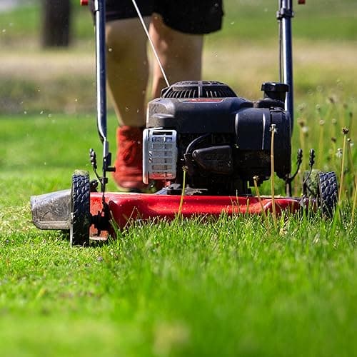 Yard Machines Gas Powered Push Lawn Mower with Engine Oil, 20 Inch Steel Cutting Deck, and Side Discharge for Outdoor Yards, Red/Black