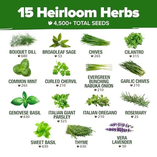 HOME GROWN 15 Culinary Herb Seeds 4,500+ Heirloom 𝗡𝗢𝗡-𝗚𝗠𝗢, 𝗨𝗦𝗔-𝗦𝗢𝗨𝗥𝗖𝗘𝗗 High Germination Rate, for Planting Indoor Hydroponic Outdoor, Gardening Gifts for Women Men, Mothers Day Gifts