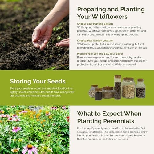 Eden Brothers All Perennial Wildflower Mixed Seeds for Planting, 1/4 lb, 120,000+ Seeds with Lupine, Shasta Daisy | Attracts Pollinators, Plant in Spring or Fall, Zones 3, 4, 5, 6, 7, 8, 9, 10