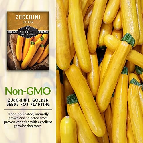 Survival Garden Seeds - Golden Zucchini Seeds for Planting - Packet with Instructions to Plant & Grow Yellow Zucchini Vegetables in Your Home Vegetable Garden - Non-GMO Heirloom Variety Plant Seed