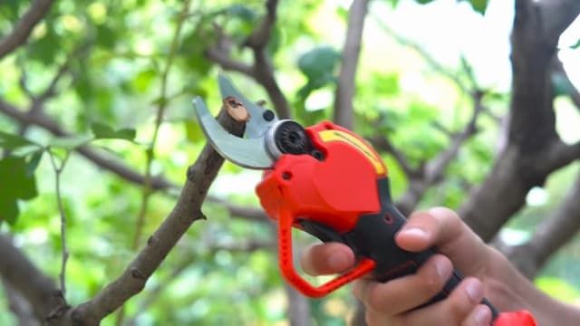 Electric Pruning Shears Professional Cordless Electric Pruning Battery Powered, Tree Branch Pruner with 2 PCS Rechargeable 2 Ah Lithium Battery - 30mm (1.2inch) Cutting Diameter