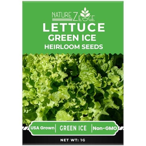 Lettuce Seeds for Planting, Red Romaine Lettuce, Bibb Butter Lettuce, Black Seeded Simpson, Green Ice Iceberg Lettuce, Non-GMO…