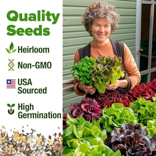 HOME GROWN 8 Lettuce & Salad Greens Seed Vault - 4,000+ 𝗡𝗢𝗡-𝗚𝗠𝗢, 𝗨𝗦𝗔-𝗦𝗢𝗨𝗥𝗖𝗘𝗗 Vegetable Seeds for Outdoors or Indoors - Seeds for Planting Hydroponic Garden