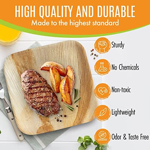 Raj Eco Compostable Palm Leaf Plates Like Bamboo Plates Disposable - 8 Inch Square 50 party plates, Natural wooden, Eco-Friendly, fancy Biodegradable & Disposable Dessert appetizer Plates