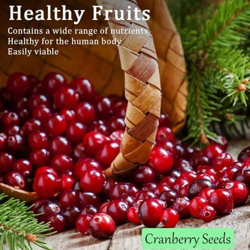 1200+ Mix Fruit Seeds, Berry Seeds - 6 Variety Non-GMO Heirloom Organic, Include Strawberry Seeds, Raspberry Seeds, Mulberry Seeds, Cranberry Seeds, Cherry Seeds, Blueberry Seeds