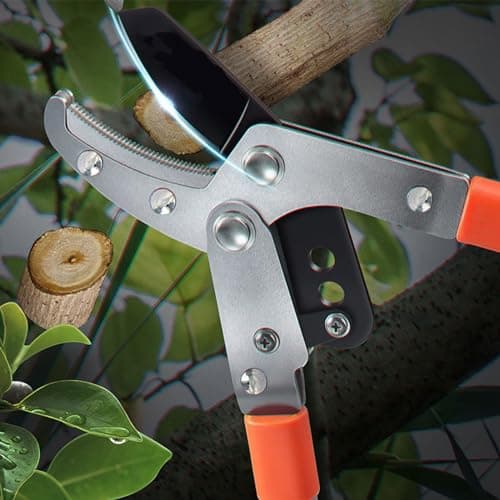 26-40" Extendable Anvil Loppers, Branch Cutter w/2 inch Cutting Capacity, Tree Trimmer w/Compound Action, Heavy Duty Telescopic Tree Pruner, Handle Adjustment, Chop Thick Branches Effortless