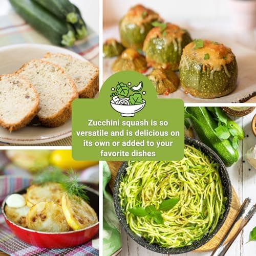 Sow Right Seeds - Zucchini Squash Seed Collection for Planting - Black Beauty, Grey, Round, Golden, and Cocozelle - Non-GMO Heirloom Packet to Plant a Vegetable Garden - Productive Summer Squash