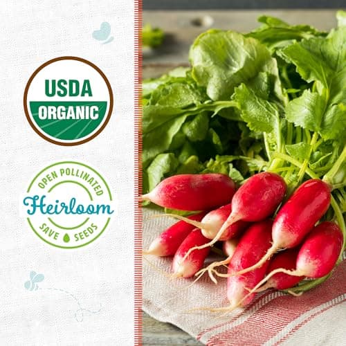 Seed Packet - Radish 'French Breakfast' 1.4g